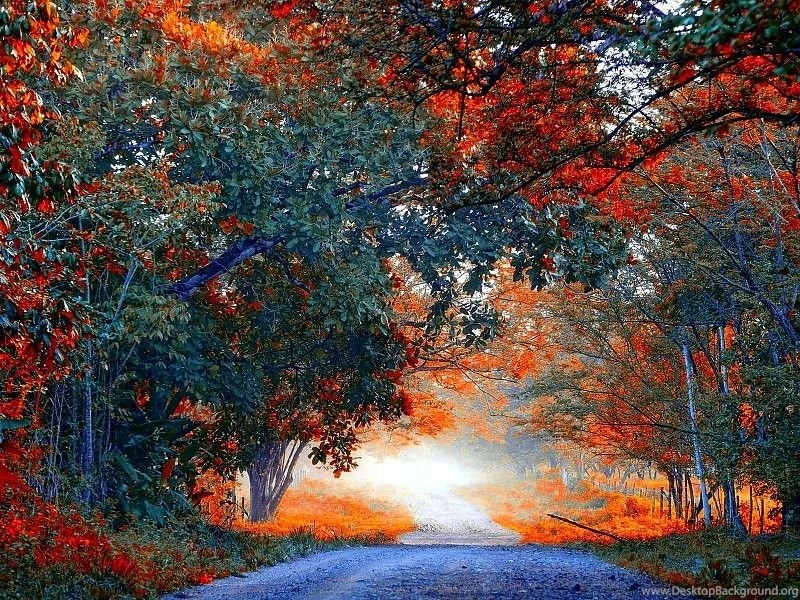 Early Autumn Free Desktop Backgrounds And Wallpapers