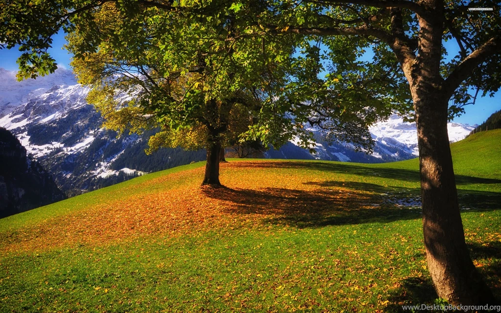 Beautiful Early Autumn Wallpapers