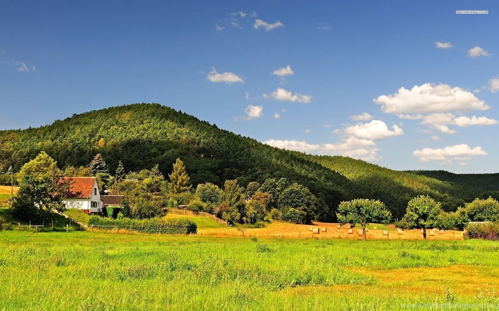 Early Autumn On The Field Wallpapers