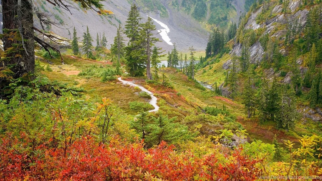 Early Autumn In Mountain Forest Wallpapers And Images   Wallpapers ...