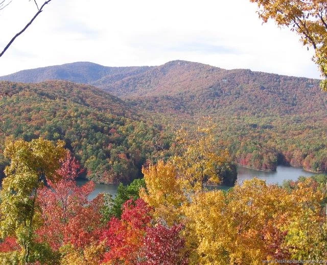 Sugergioter: Fall Colors Wallpapers