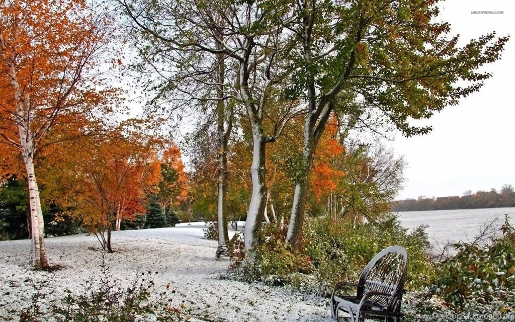 Early Winter Snow In Autumn Wallpapers