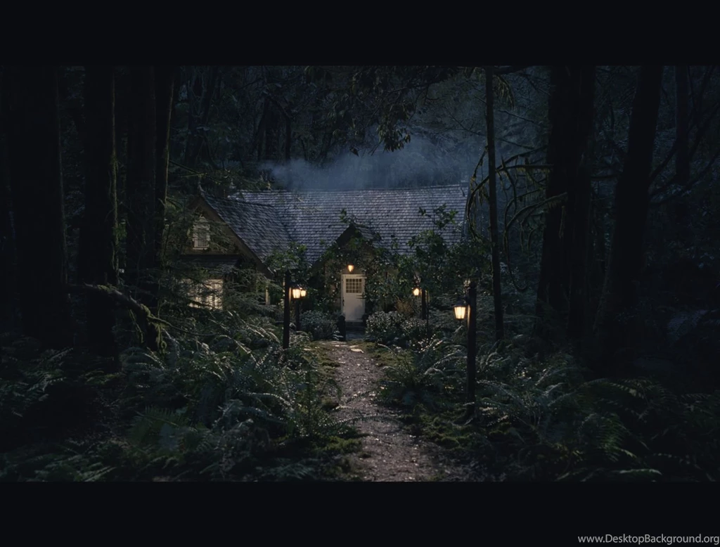 THE TWILIGHT SAGA: BREAKING DAWN PART 2 : Laurent Spillemaecker ...