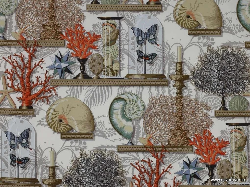 0 2591 le cabinet de curiosities.jpg