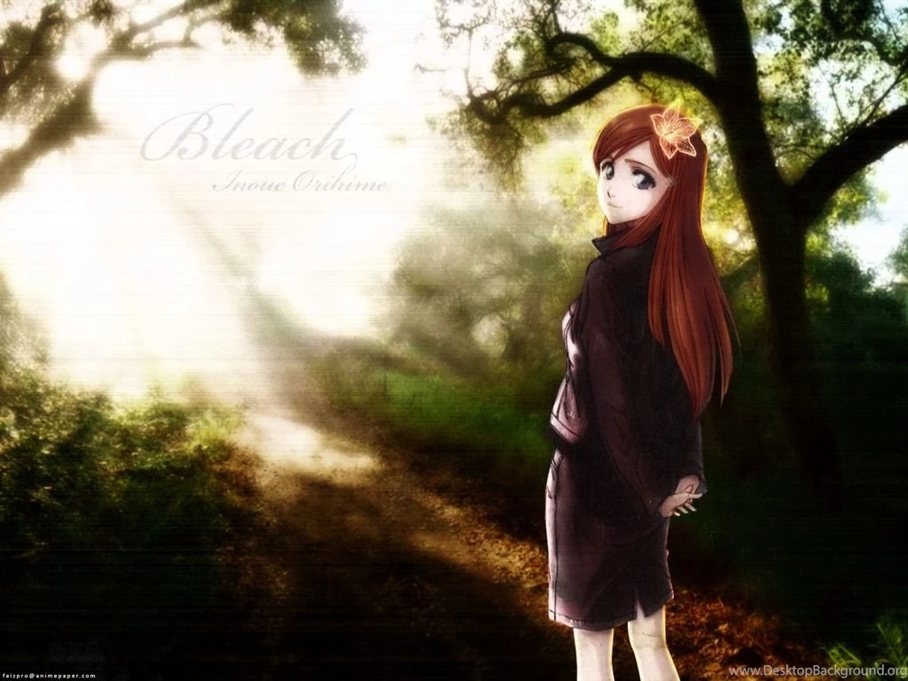 Bleach Pics Bleach Lovers! Wallpapers (28726741) Fanpop