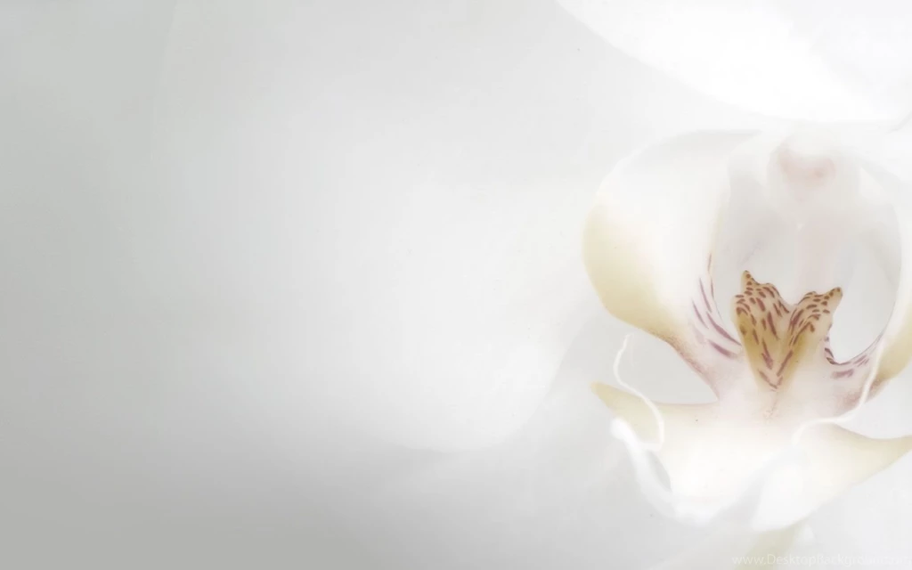 Wedding Wallpapers In Hd AD5Y