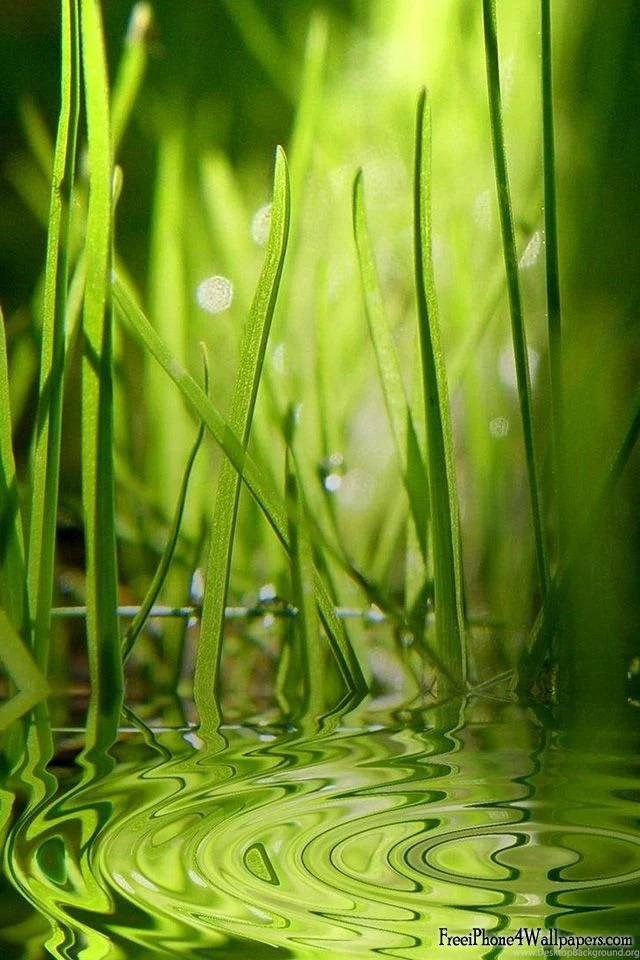 100 HD Iphone 4 Wallpapers