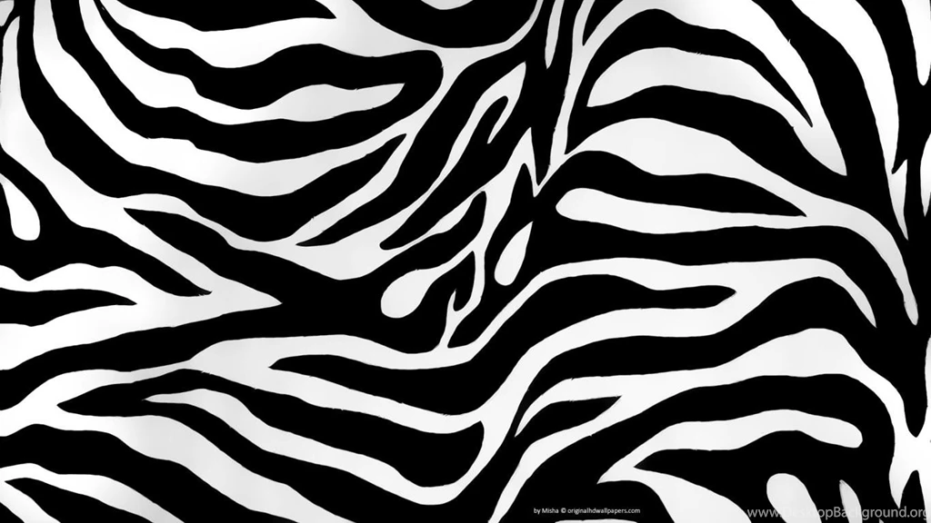 Free Zebra Backgrounds Wallpapers