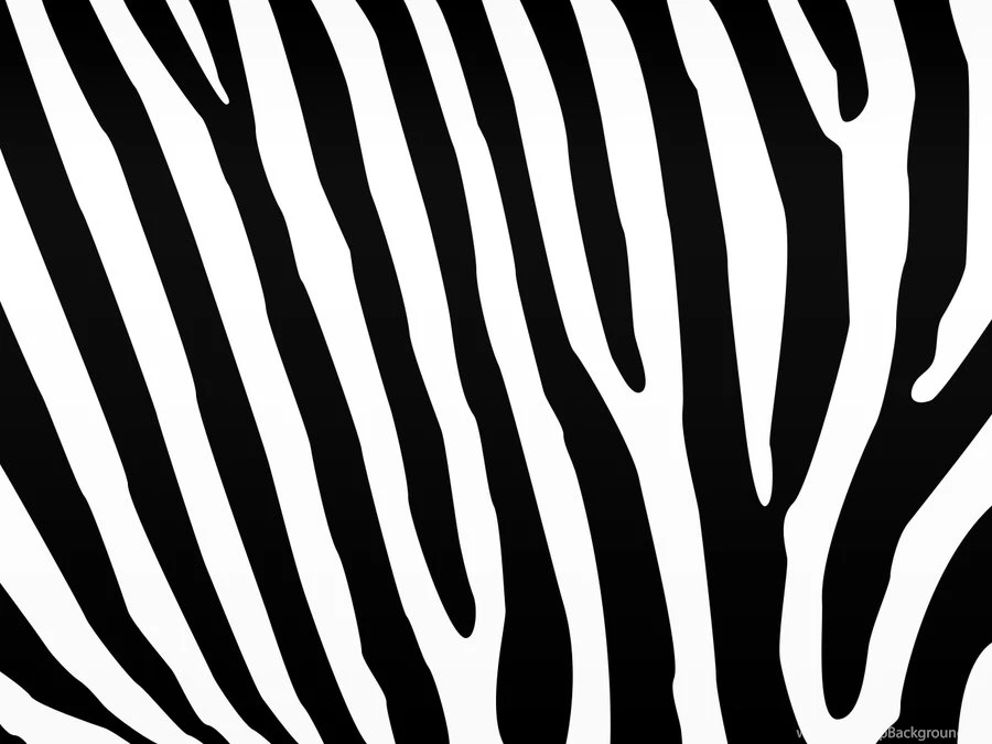 Zebra Desktop Backgrounds By OuterSpice On DeviantArt