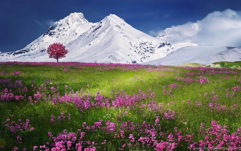 Wallpapers Tagged With SNOW
