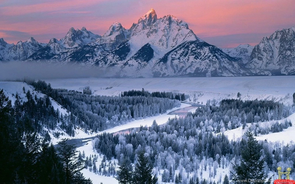 The FrozenMountain Pack And The FrostyDawn Pride (Roleplay!)