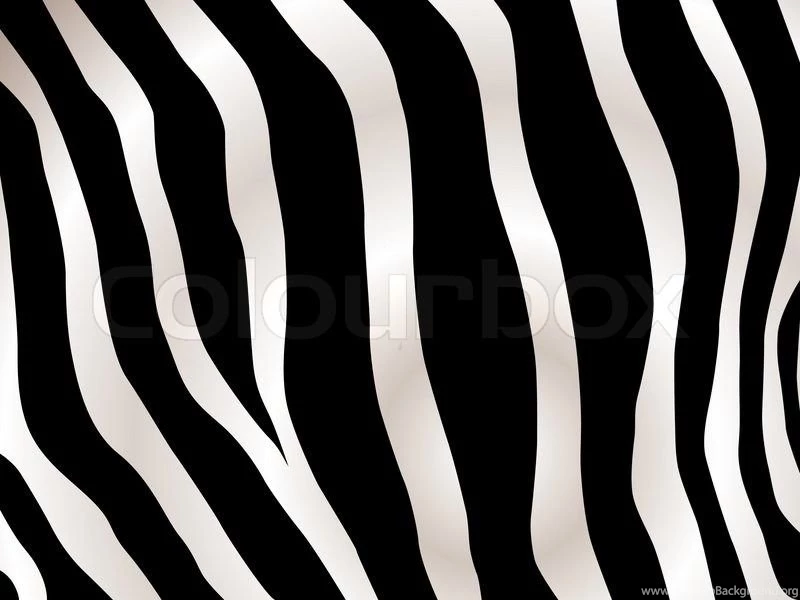 Zebra Background. Type Of Striped African Animal Which Resembles A ...