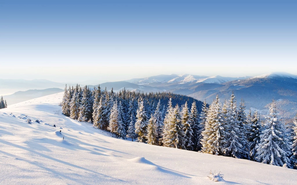 Ice Mountains Winter Snow Trees Forest Day Wallpapers