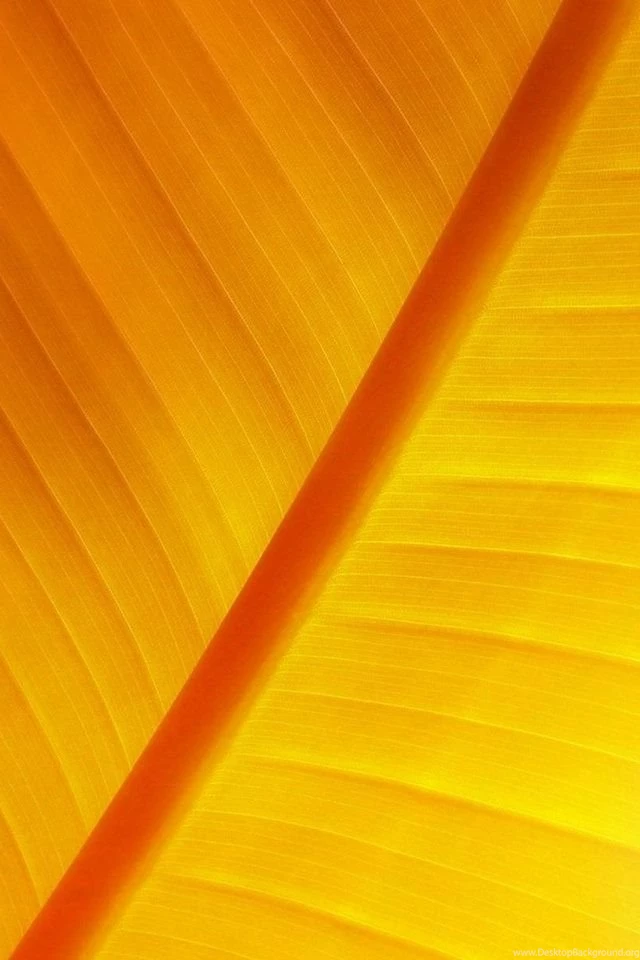 Good Plants Iphone Wallpapers Free 640x960 Hd Apple Iphone 4 ...