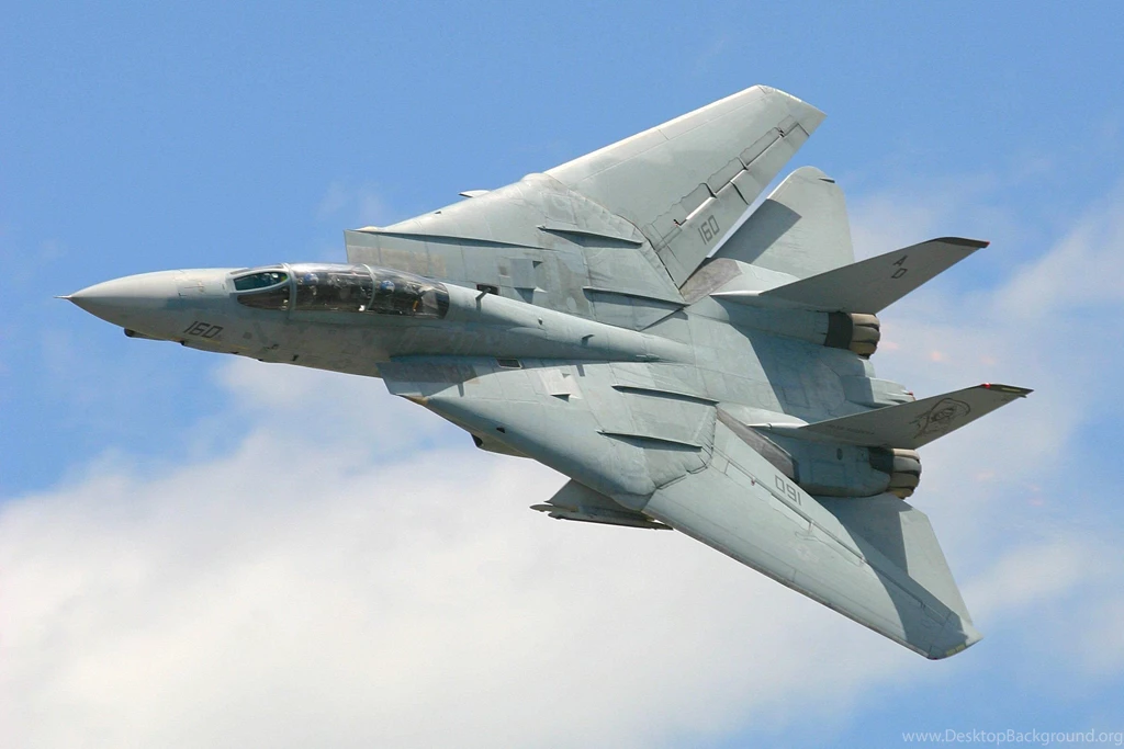The F14 Tomcat (