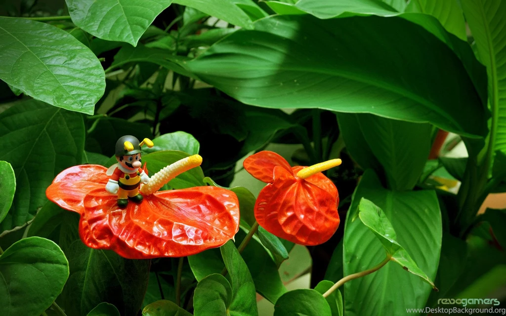 Super Mario Galaxy 2   Análisis Wii