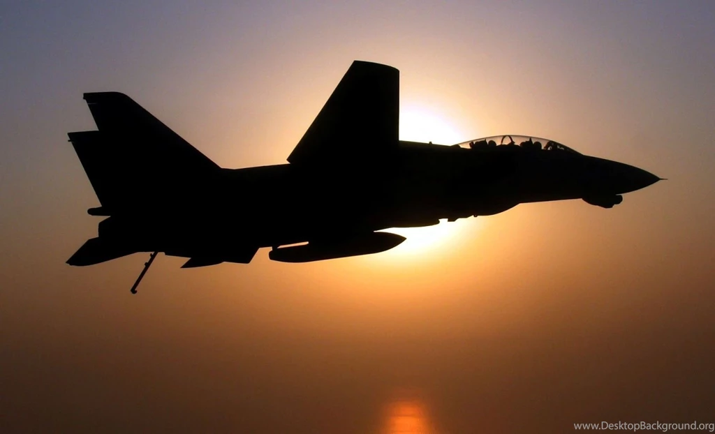 F 14_tomcat_wing_retracted_silhouette.jpg