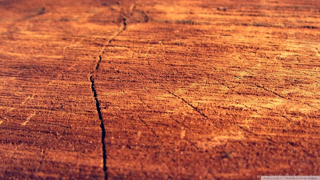 Download Wood Wall 2 Wallpapers 1920x1080