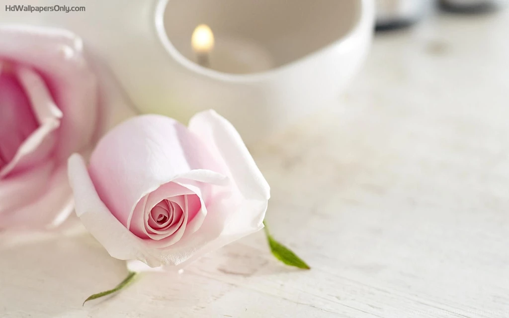 Wedding Photos Wallpapers