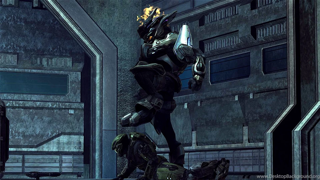 Image   Elite Field Marshal1.jpg   Halo Nation   Wikia