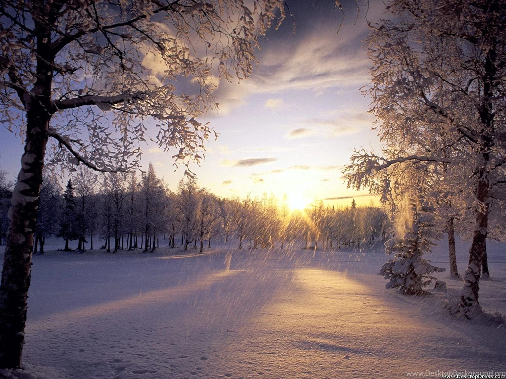 Desktop Wallpapers » Natural Backgrounds » Fresh Fallen Snow ...