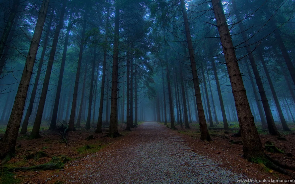 1920x1200 Path, Nature, Alley, Road, Forest, Path, Paths, Trees ...