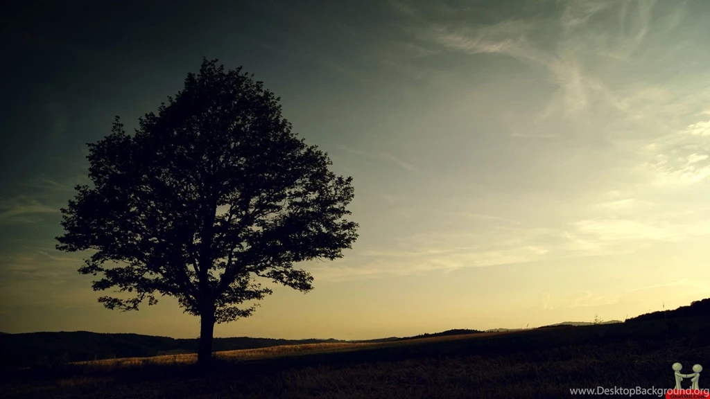 Alone Wallpapers 142857