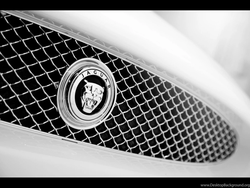 2010 Jaguar XKR Grille Emblem 1600x1200 Wallpapers