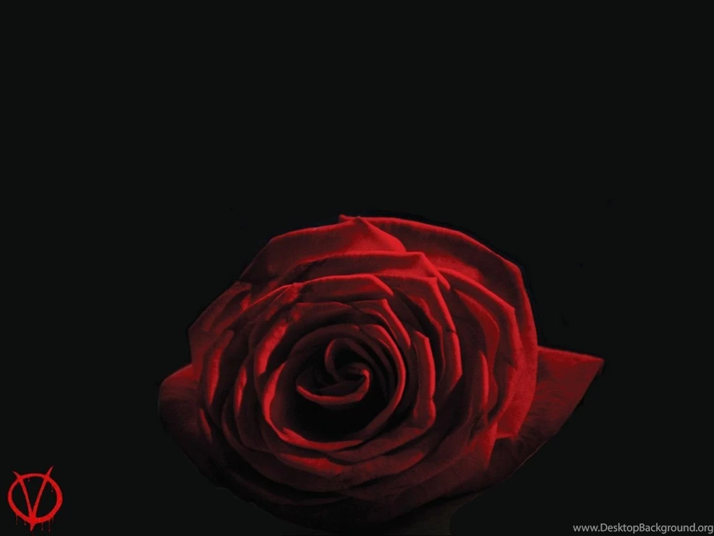 Gena Koch: V For Vendetta Wallpapers