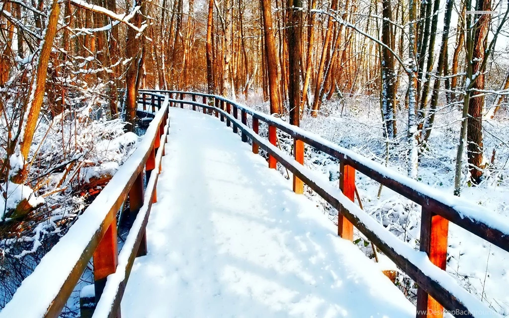 Snow Covered Bridge In The Forest Wallpapers