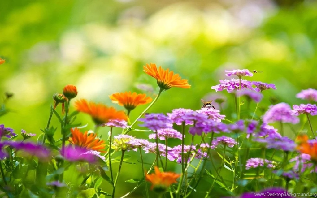 Galaxy Tab Wallpapers HD Nature Beautiful, Stunning Wallpapers