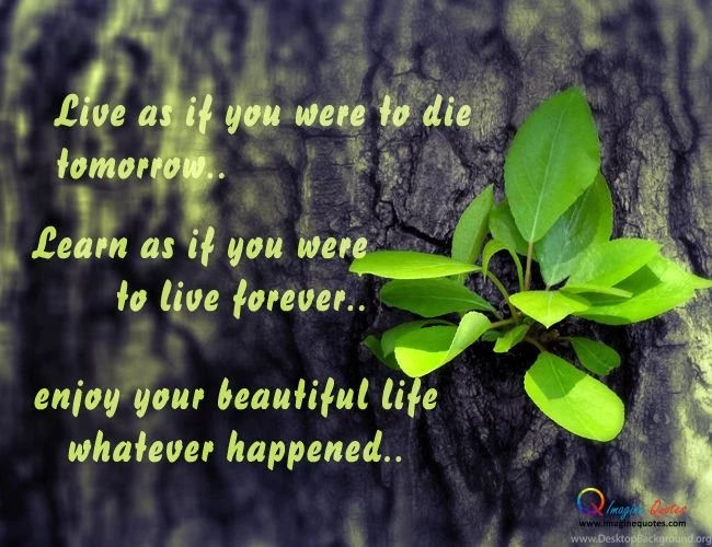 Enjoy Your Beautiful Life