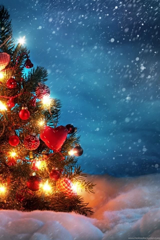 640x960 Christmas Tree Outside Iphone 4 Wallpapers