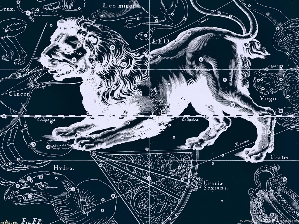 Star Chart, A Lion Wallpapers And Images   Wallpapers, Pictures ...