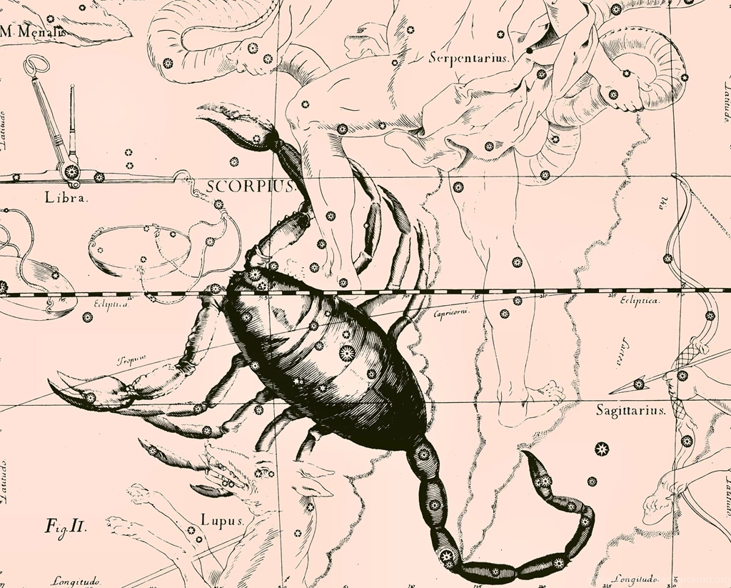 Star Chart, Scorpion, Pink Wallpapers And Images   Wallpapers ...