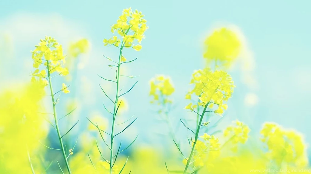 28 Beautiful HD Wallpapers You`ve Seen On WebUpd8 ~ Web Upd8 ...