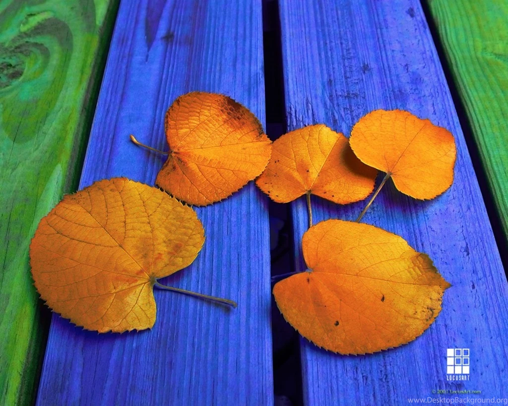 Professional Photography Wallpapers – Landscape, Macro, Nature ...