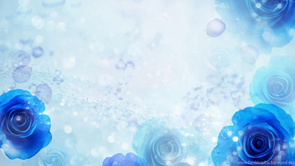 Blue Roses On A Blue Backgrounds Wallpapers And Images   Wallpapers ...
