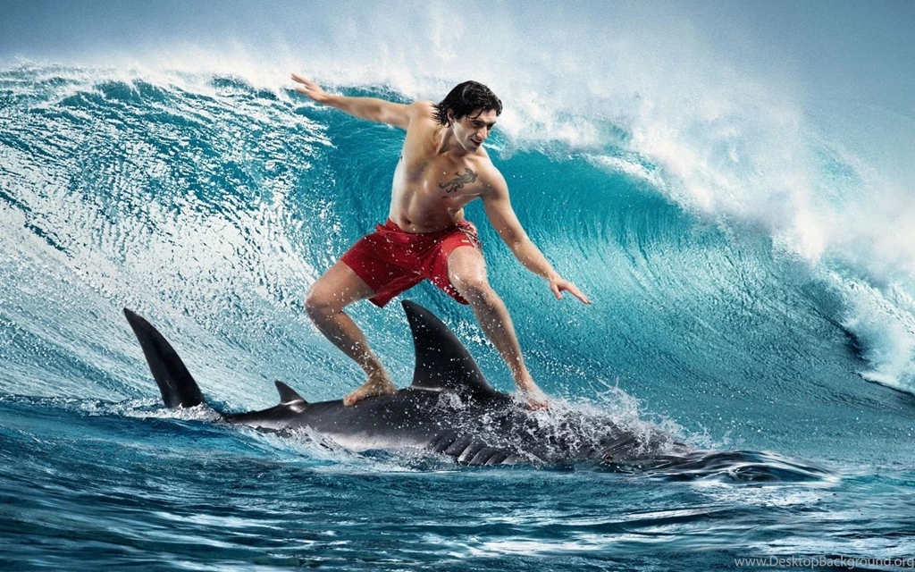 Boy On Shark Surfing Uhd Wallpapers Ultra High Definition ...