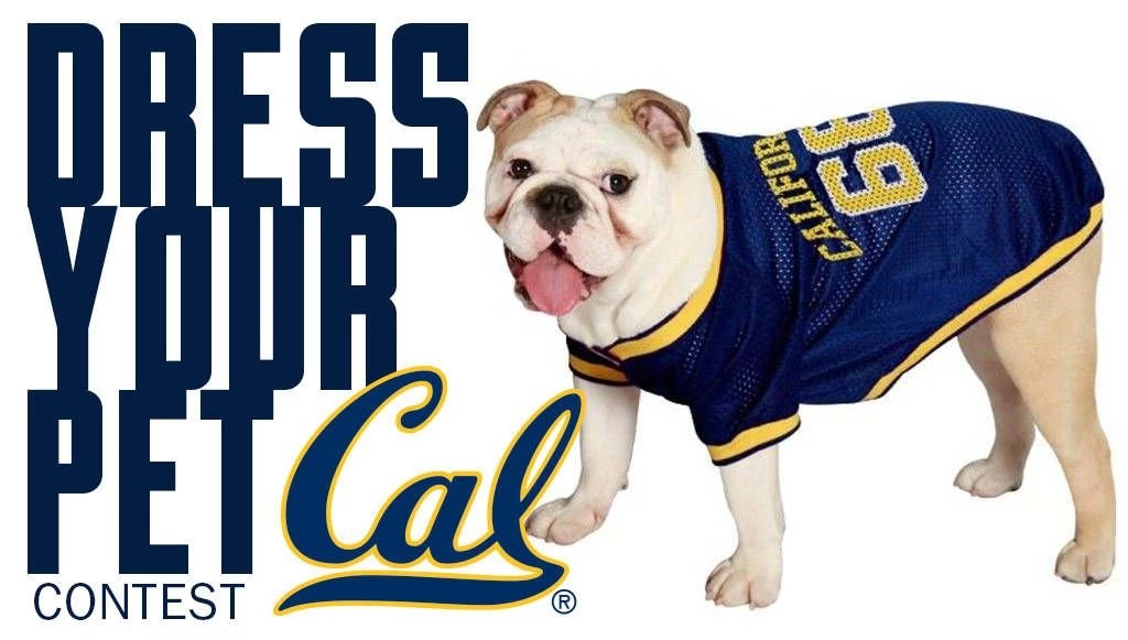 Cal Dress Your Pet Contest   California Golden Bears   University ...