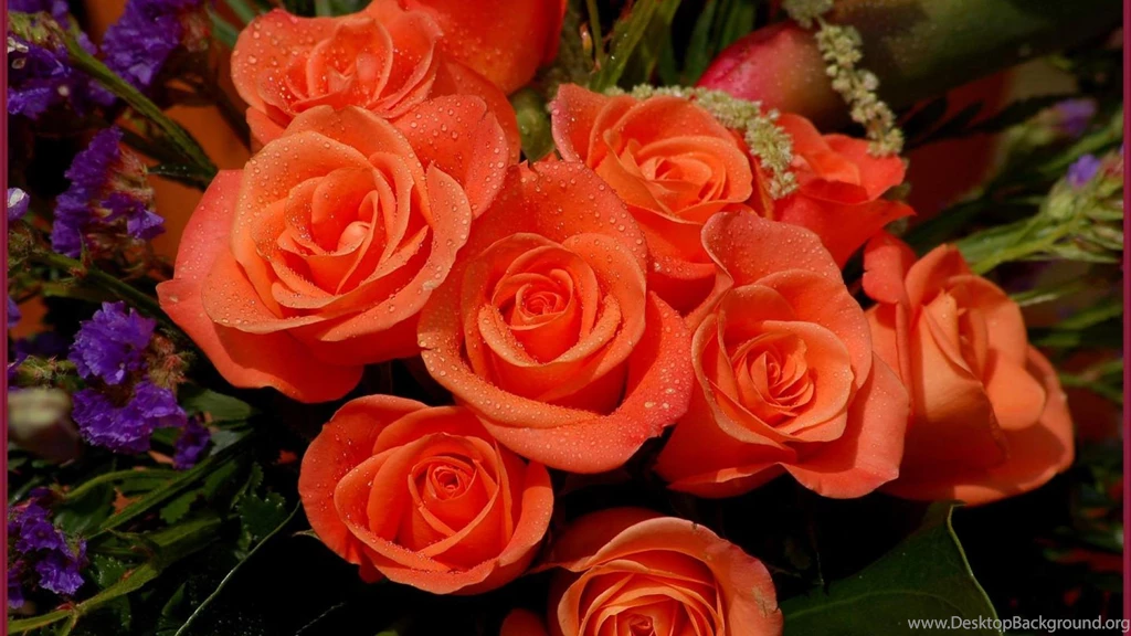 ORANGE ROSES WALLPAPER (