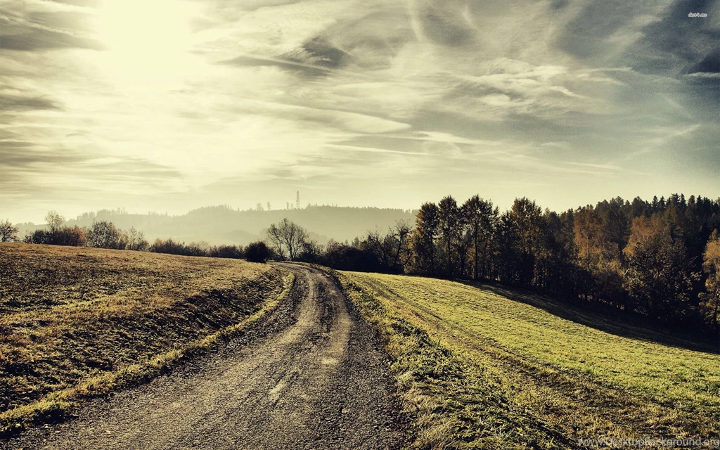 Road In The Field Wallpapers   Nature Wallpapers