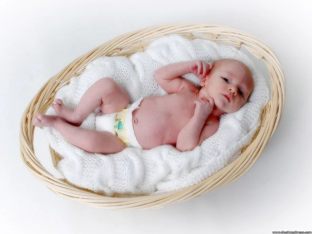 Desktop Wallpapers » Babies Backgrounds » Cute Baby In A Basket ...