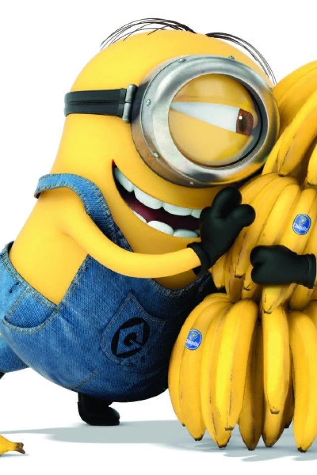 Minions hd wallpaper 9 1024x600 2xlq8nrjztd22t05imkzre.jpg