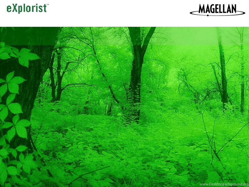 Background.bmp
