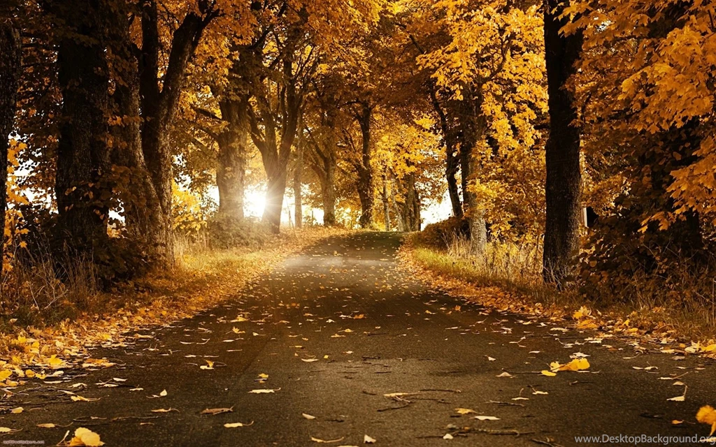 Wallpaper: Wallpapers Di Explorer