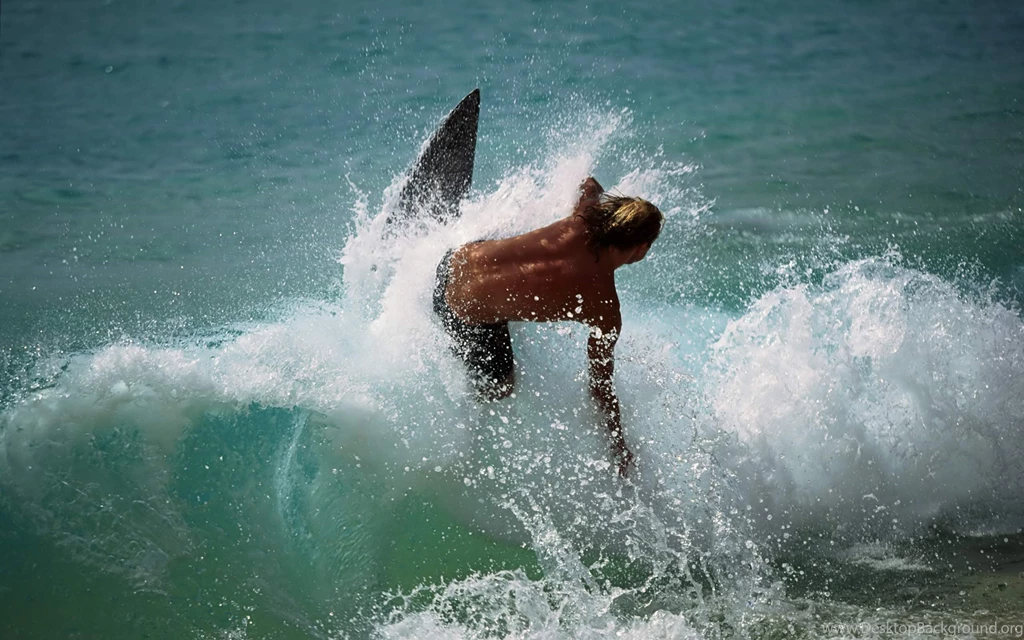 Desktop Wallpapers · Gallery · Sports · Surfing Watersports ...