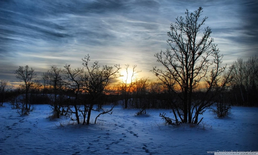 Winter Sunset Scene HD Desktop Wallpapers : Widescreen : High ...