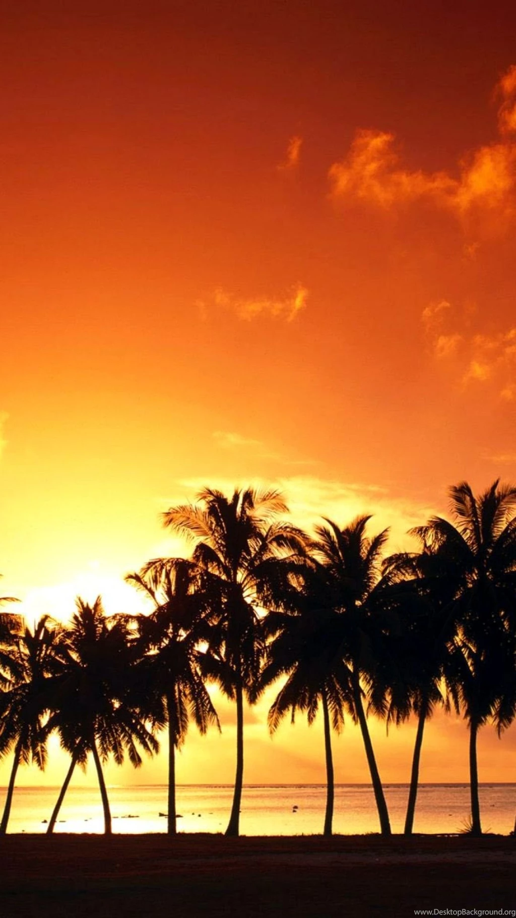 Beautiful Sunset Scene S4 Wallpapers