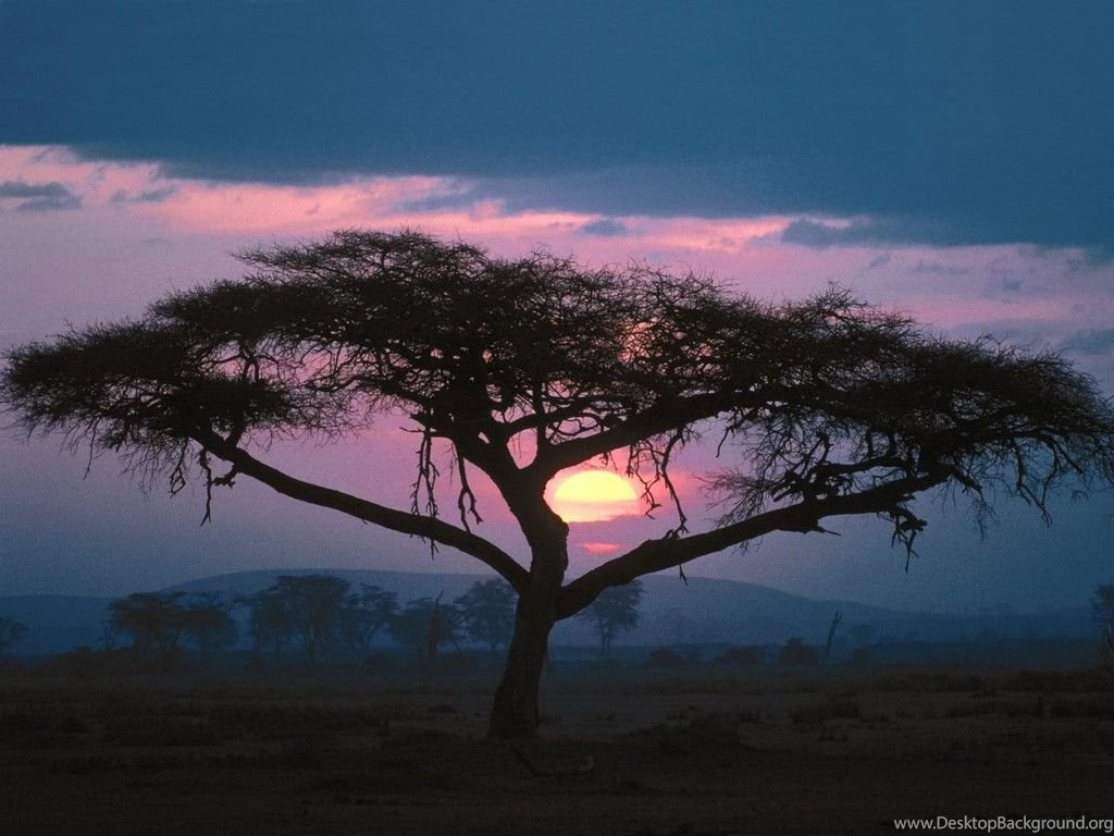 East African Sunset Scene Wallpapers Pics